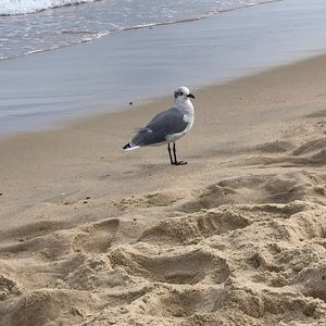 Meet your Posher, Zakiyyah